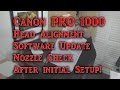 Canon Pro 1000 printer after initial setup.  Software, Firmware, Head alignment etc.