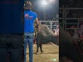 EX DESTRUCTOR “EL ELÁSTICO” #jaripeo #losdestructores #toros