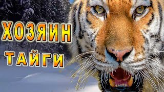 картинка: /Противостояние/ Таёжная История/