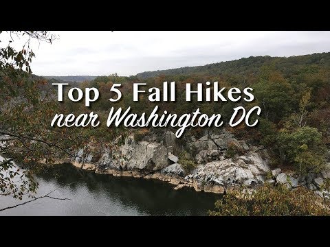 Video: Washington, D.C.'s Rock Creek Park: Den kompletta guiden