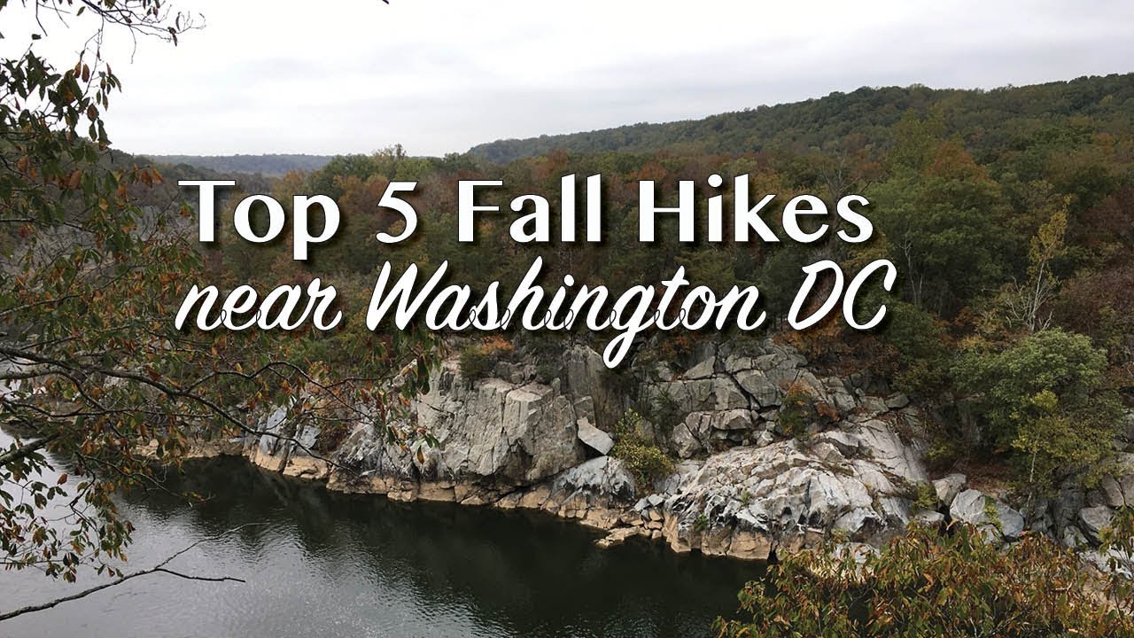 Top 5 Fall Hikes Near Washington DC YouTube
