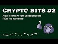 Crypto bits #2 | Асимметричное шифрование, протокол Диффи-Хэллмана, ЭЦП, RSA на коленке, УЦ