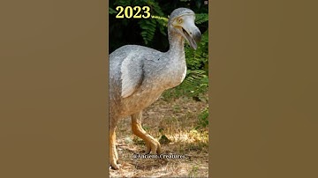 2023 Dodo Birds and 5000 Bce Dodo Birds || Ancient Creatures #shorts #shortsvideo #youtubeshorts
