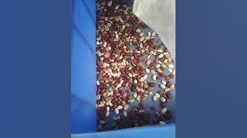 red beans color sorter machine from Vsee Company