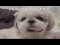 犬用ビスケットのCMオファー待ち（親バカシリーズ）