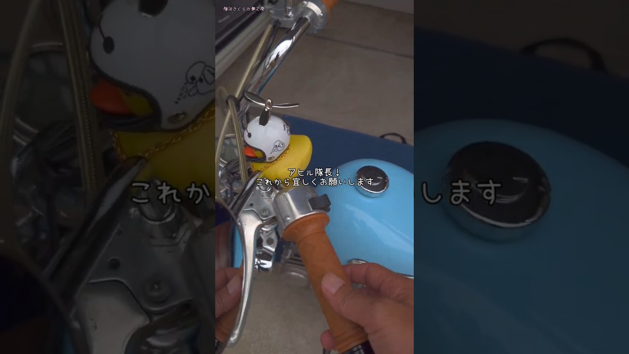 Monkey] Part 14: 88cc Monkey, Honda OEM Registered Plate, Moomin