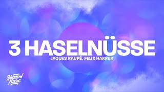 Jaques Raupé, Felix Harrer - 3 Haselnüsse (Techno Version) Resimi