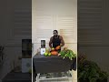 Kali Muscle is live!