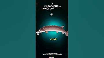Telur Ikan LAKE STURGEON Mahal 😱 - Creatures Of The Deep