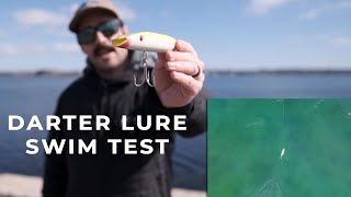 The Most Popular Darters - Darter Lure Swim Test with The Saltwater Edge