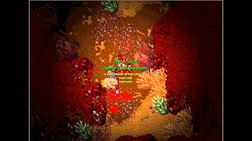 Tibia- Solera ( Stampors Boss- Tromphonyte ) Killing in the name of