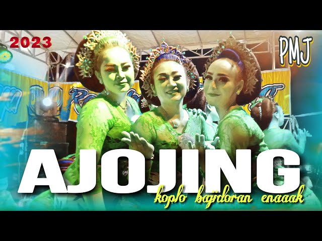 ajojing medley || koplo bajidoran enak terbaru 2023 || pmj ujang lanay live cibatu class=