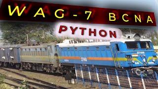 Famous | Python freight | wag-7 twins with bcnashm skip| Profile