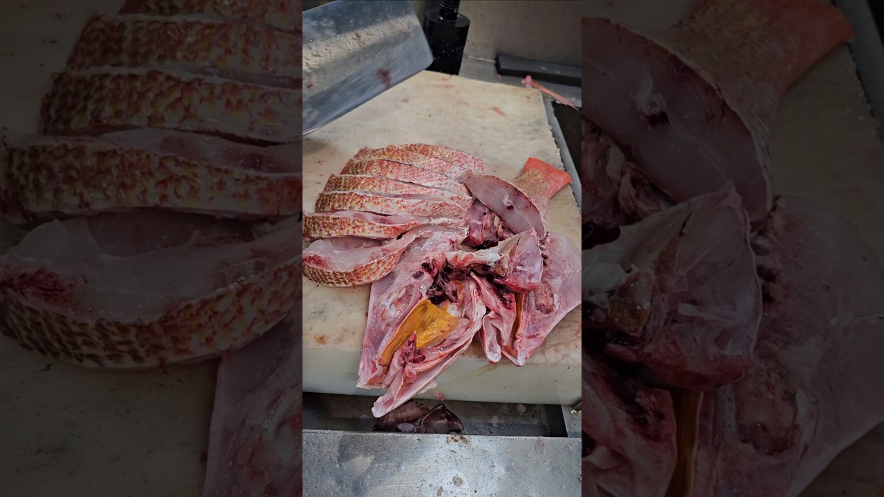 Queen Red Snapper Fish Cutting Skills