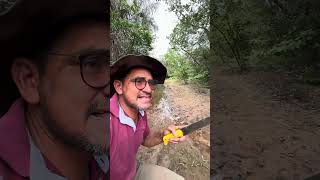 Quase dei de cara com a onça