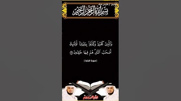 سورة البقرة من الآية 38 إلى الآية 40 بصوت الشيخ فارس عباد برواية حفص #القرآن_الكريم #اكسبلور #viral