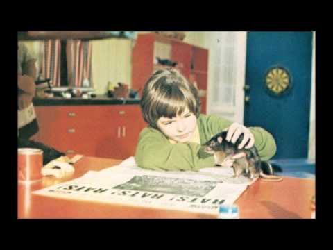 Rob Zombie-Theme for the Rat Vendor