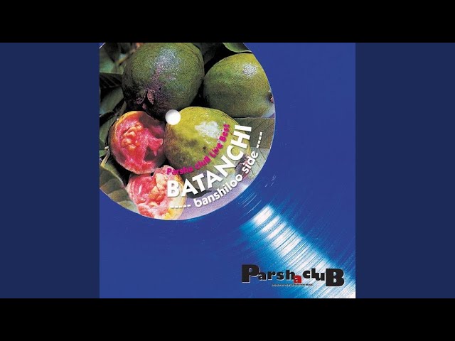 Pasha Club Beyond the Sea