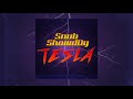 Snub ShowdDy - TESLA