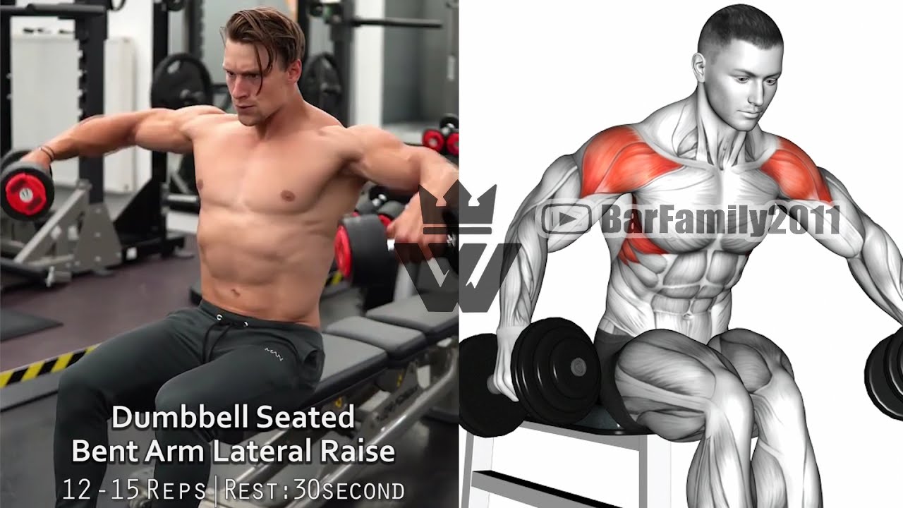 11 Exercises How to Build Your SHOULDERS and BACK 