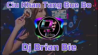 Ciu Khan Tang Bue Bo 酒矸倘賣無 Remix By Dj Brian Bie
