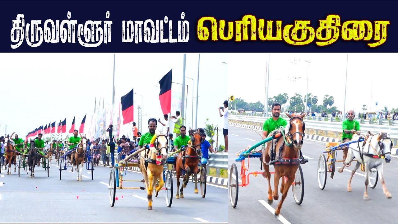 திருவள்ளூர் மாவட்டம் பெரிய குதிரை 25-01-2026
