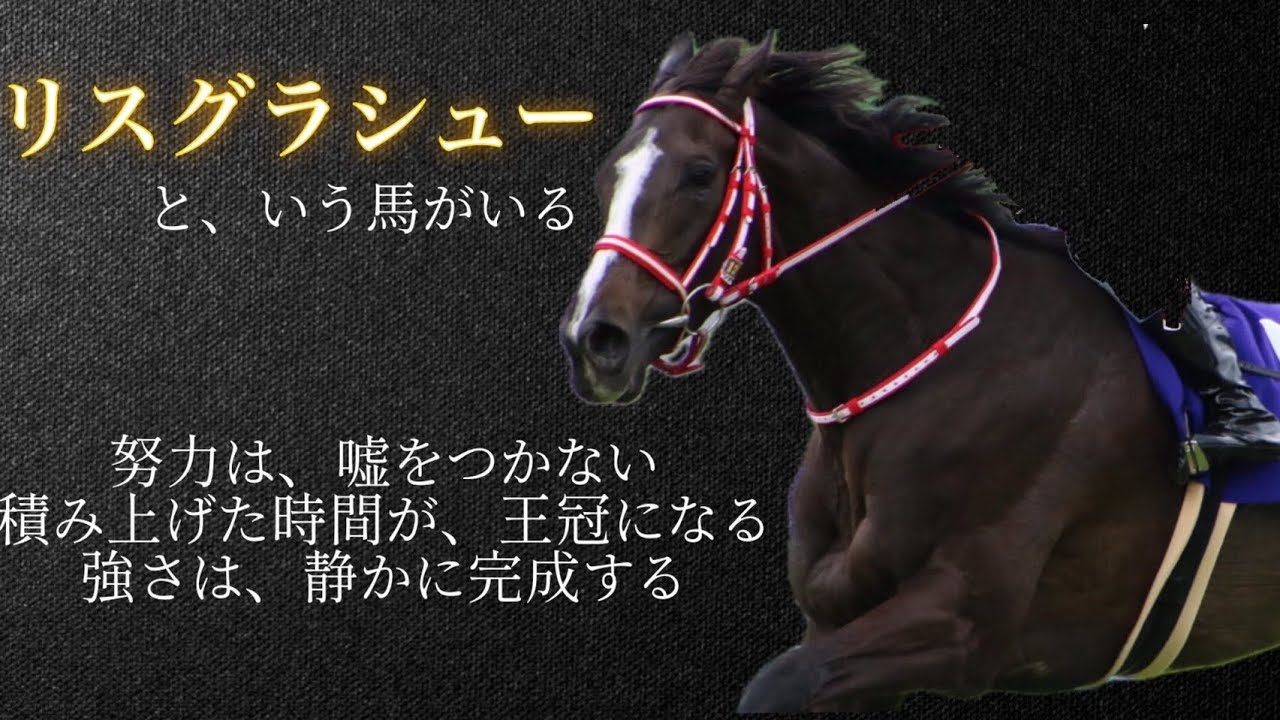 【晩成の女王】リスグラシュー🐎