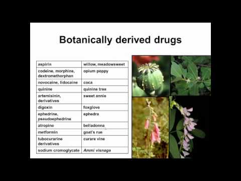 History of Botanical Medicine and Heathcare