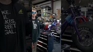 4 Mini Trikes Ready To Rip