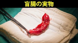 死ぬ前に見ておきたいもの２５選