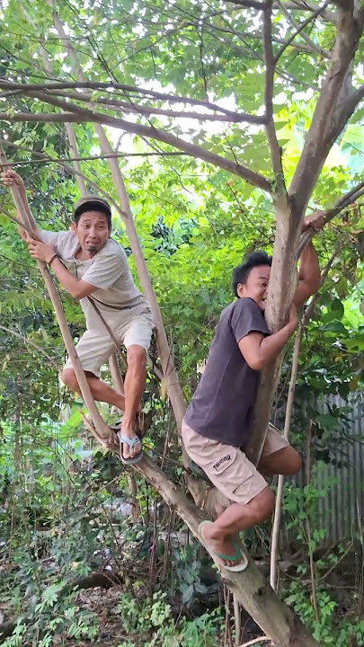 Mau ketawa takut dosa video lucu bikin ngakak hiburan warga 62 funny videos #funny #shorts #viral