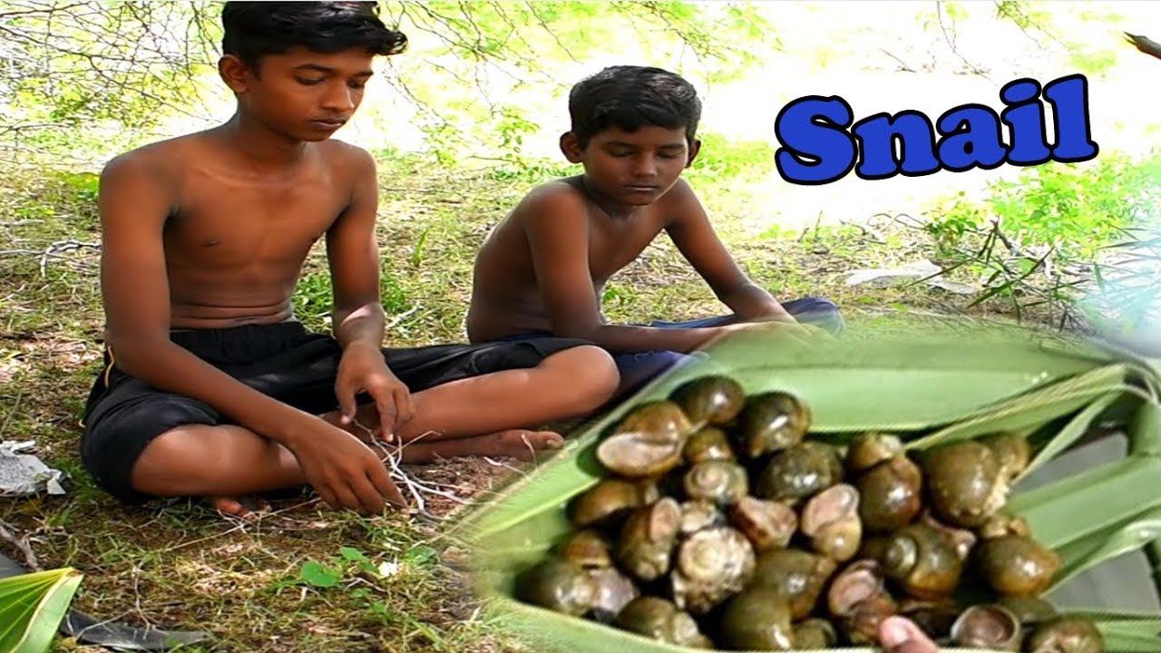 Survival Skills : Snail Catching and Cooking With Primitive Technology