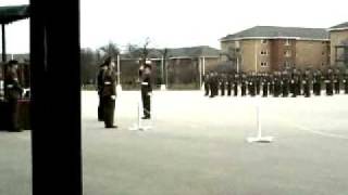 Video0141.mp4