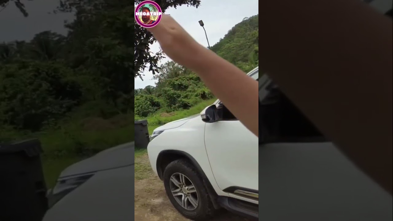 Unveiling the Mystery of the Elephant Cave | Fascinating Discoveries