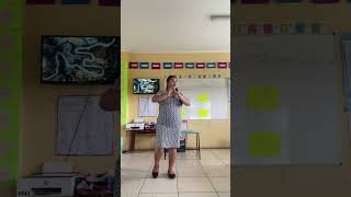 Mathematics lesson - Practicum III