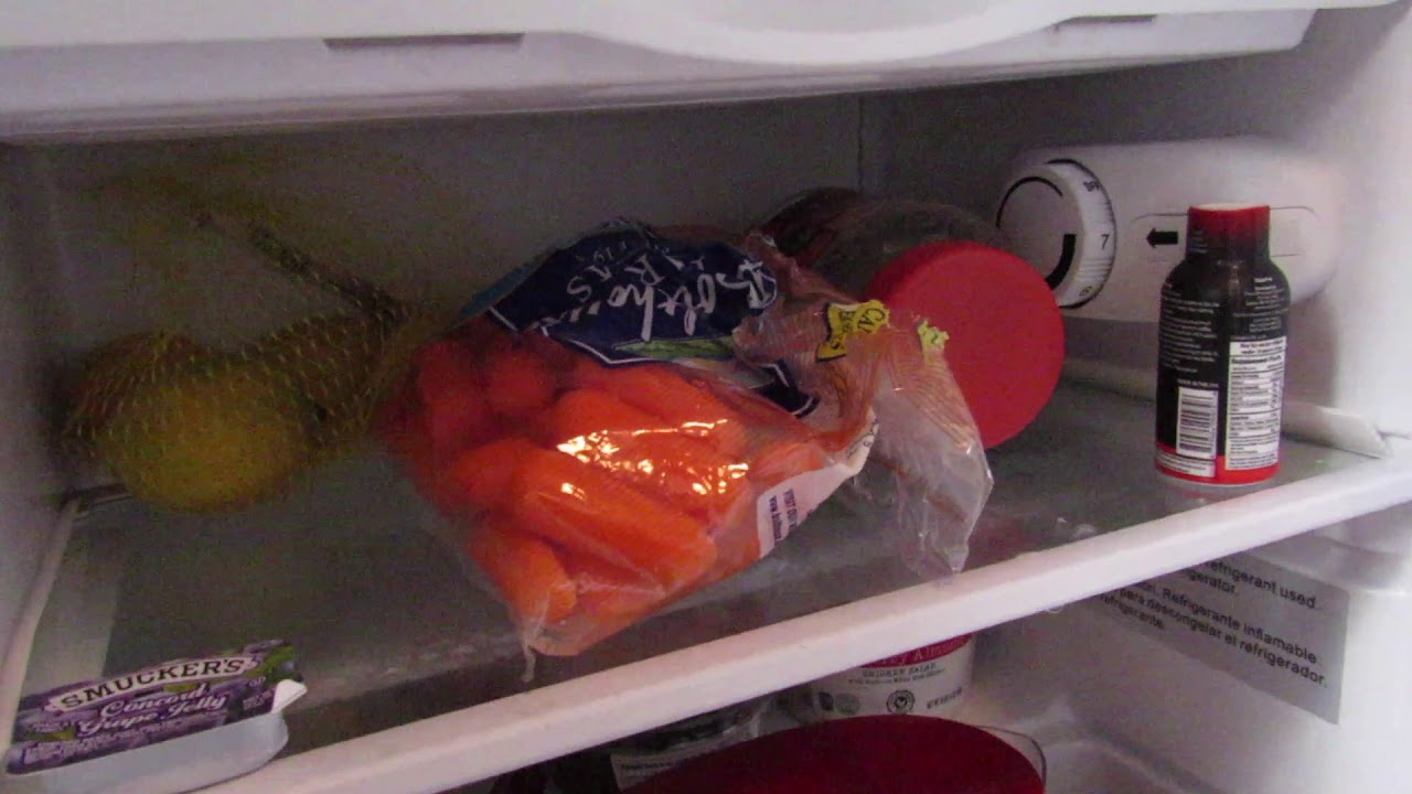 What's in My College Mini Fridge? February 2019 YouTube