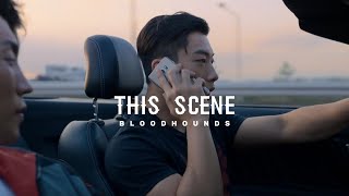 This Scene Bloodhounds 4K Logo-Less Scene Pack Kiyoholic