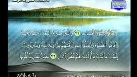 الشيخ محمد عبدالوهاب الطنطاوي سورة الرعد.