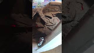 This tiny truck does WHAT indoors? #RCShorts #ArrmaGrom #MicroRC
