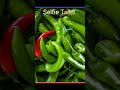 பச்சை மிளகாய் மொத்த விற்பனை (13-10-25) Green Chilli wholesale market in india #wholesale