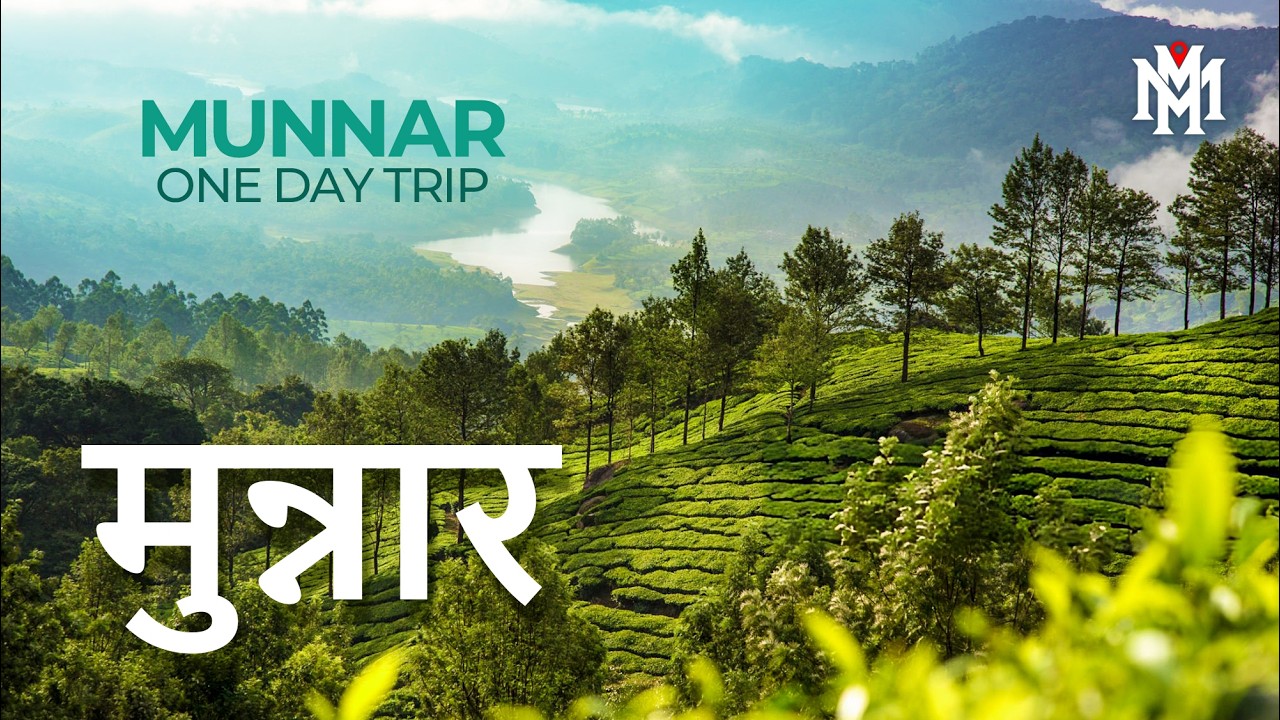 इरविकुलम और मुन्नार | Munnar One Day Trip | Hindi Travel Video | Amazing Travel Videos