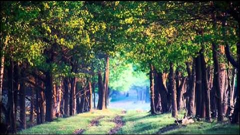 اجمل تلاوة تريح القلوب وتهدي الاعصاب