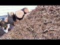 Mulch for days! / Back to Eden garden / Vegan Homesteading