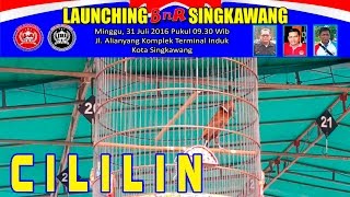 Kontes Burung CILILIN | Launching BnR Singkawang