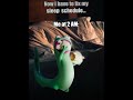 #meme #memes #funnyvideo #funny #roblox #floptok #relatable #schoolmeme #floptropica