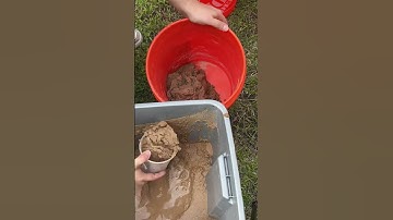 How to Wash Sand (and Why You Should)