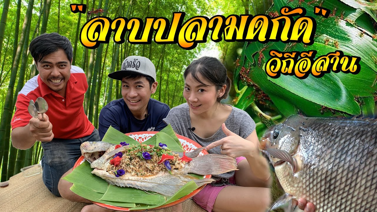 ลาบปลาแรดมดกัด !!! [คนหลงรส] EP.31
