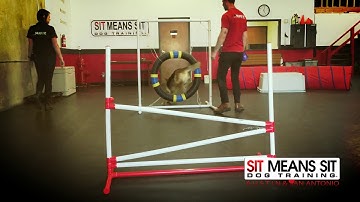 Introduction to Agility