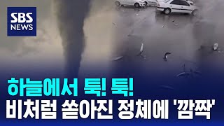 하늘에서 툭! 툭!...비처럼 쏟아진 정체에 '깜짝' / SBS / 오클릭