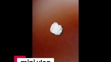 A DAY IN MY LIFE//TUGAS INFORMATIKA//KELAS IX.2